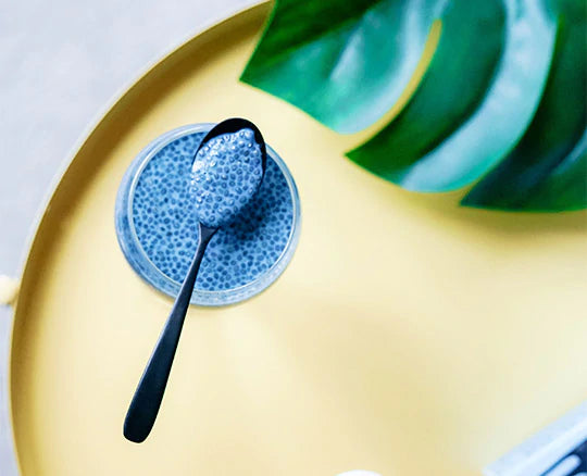 Chia Gel Recipe