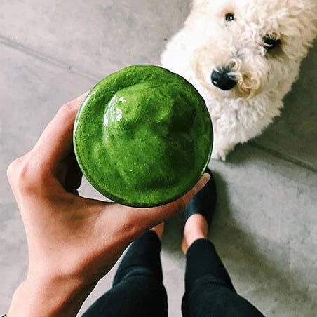 Green Goddess Smoothie Recipe