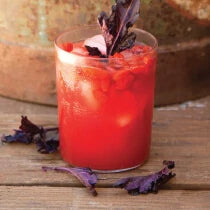 Watermelon Goji Juice Recipe made with Navitas Organics Goji Berries