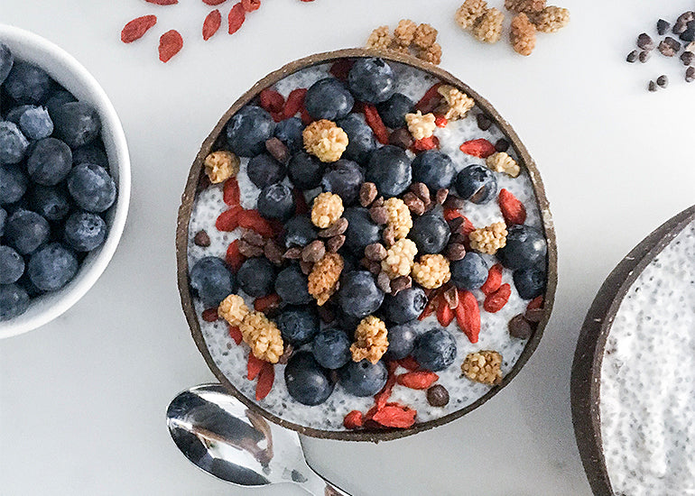 A bowl filled with coconut chia pudding made with Navitas Organics Chia Seeds, topped with fresh blueberries and Navitas Organics Goji Berries, Mulberries and Cacao Sweet Nibs.