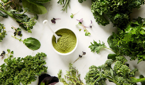 4 Healing Powers of Green Foods