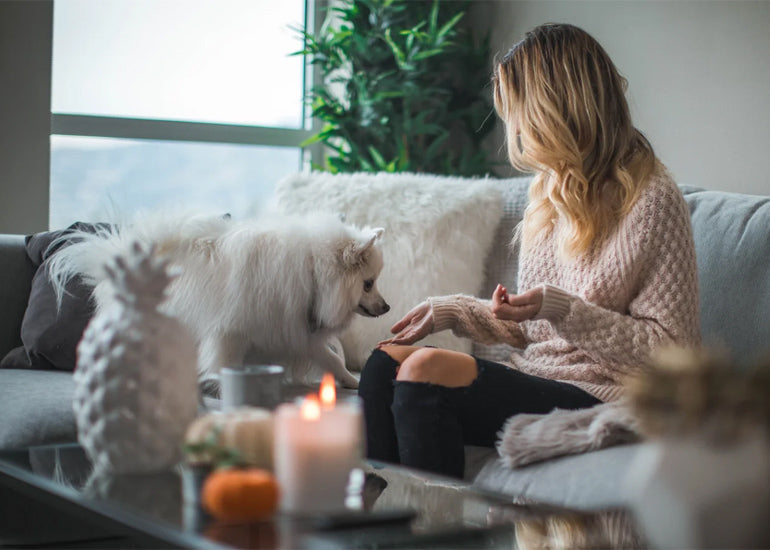 A woman feeding her dog on her couch in her living room.