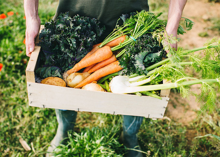 A woman holding a wooden crate full of organic vegetables in a garden.