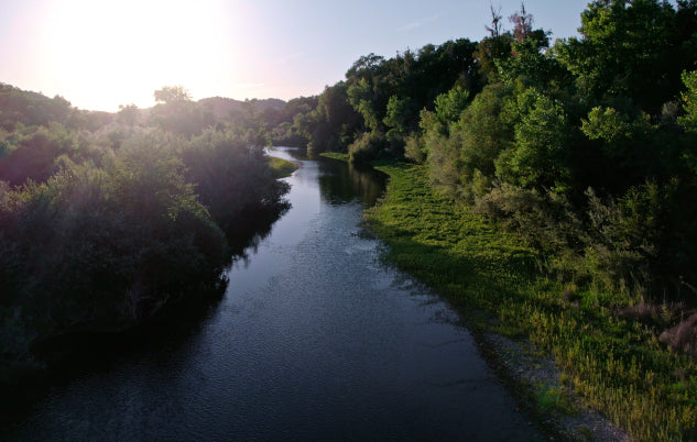 River with a forest on both sides.