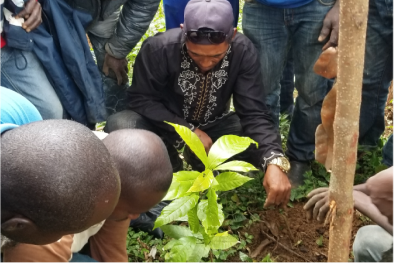 A farmer kneeling in the soil planting a tree