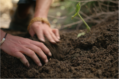 Hands in soil