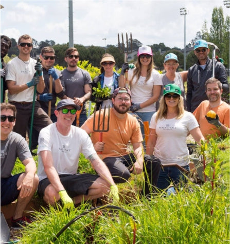 Navitas team working in a farm setting.