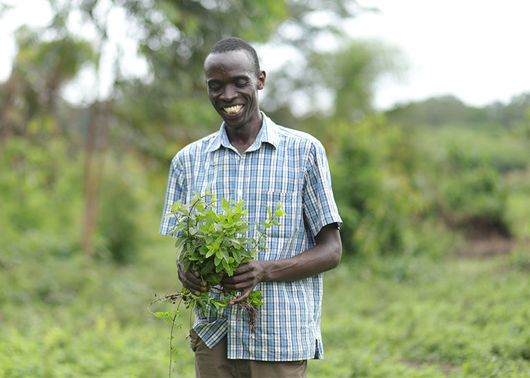 A sustainable farmer holding plants in a field.