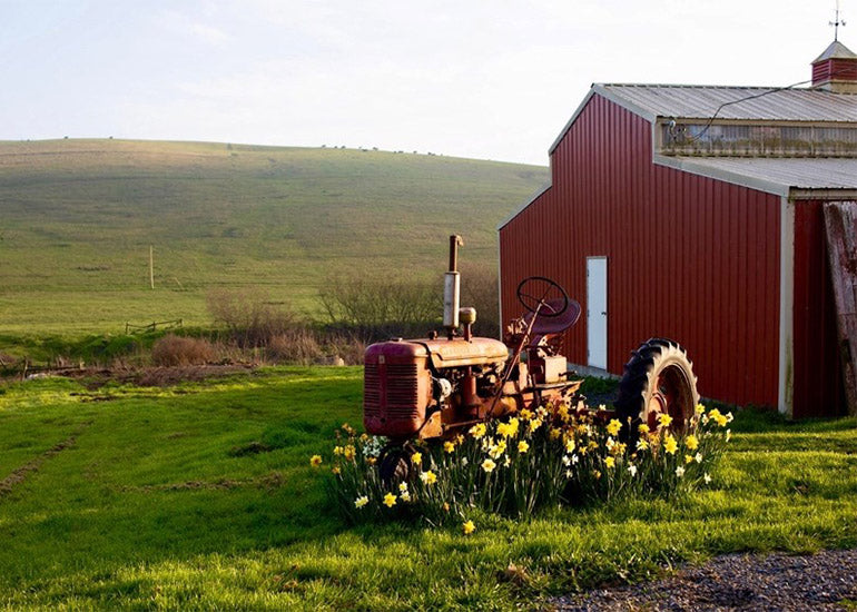 A barn and tractor situated in the middle of a vast field on a spring day.