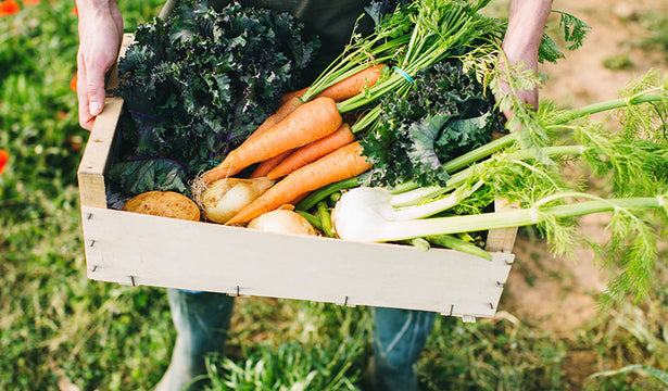 5 Reasons Organic Food is More Expensive