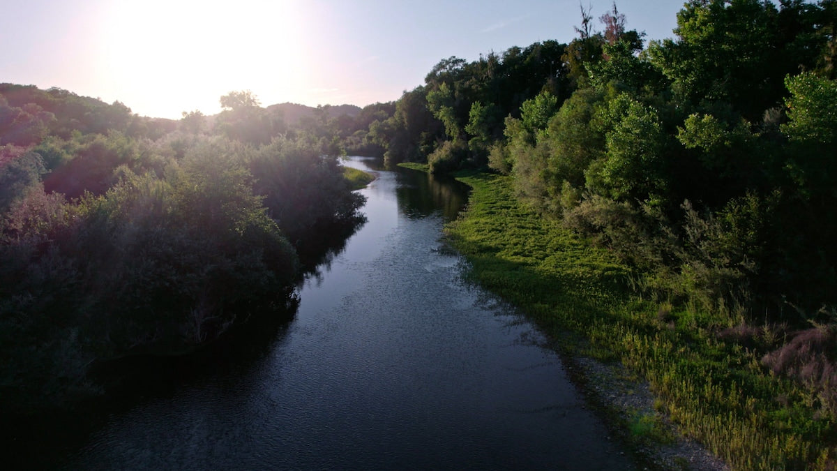 An arial shot of a river and forested area