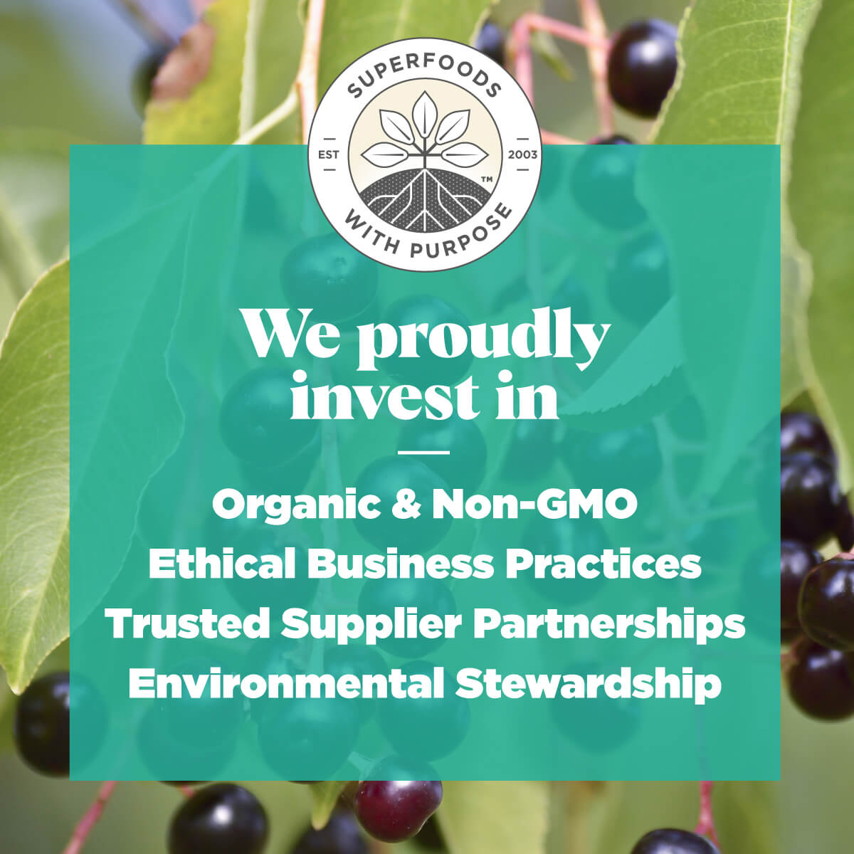 Navitas Organics proudly invests in organic, non-GMO, ethical business practices, trusted supplier partnerships, and environmental stewardship.