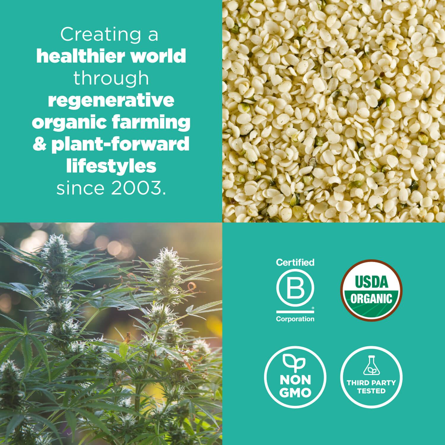 Navitas Organics is committed to creating a healthier world through regenerative organic farming and plant-forward lifestyles since 2003.