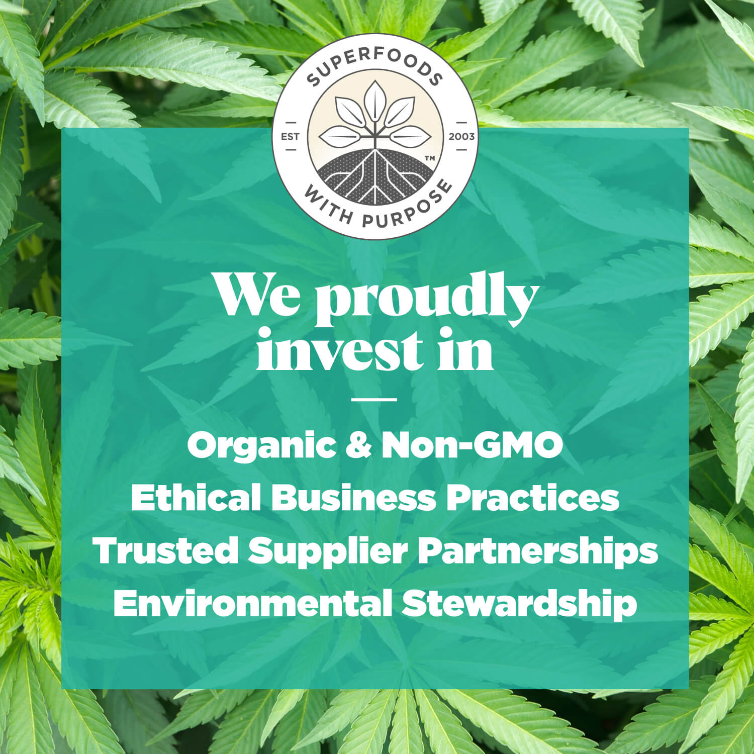 Navitas Organics proudly invests in organic and non-GMO, ethical business practices, trusted supplier partnerships, and environmental stewardship.