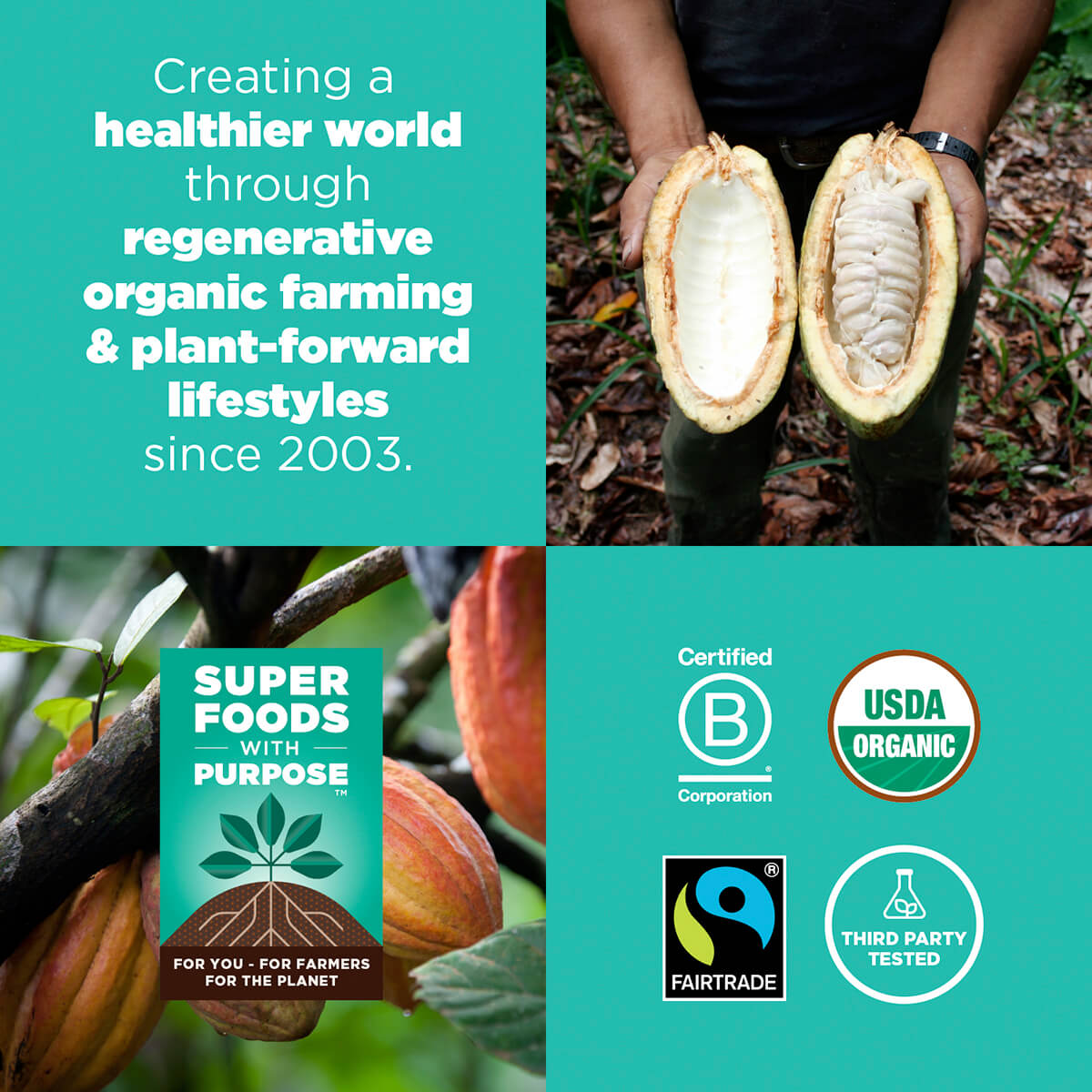 Navitas Organics has been creating a healthier world through regenerative organic farming & plant-forward lifestyles since 2003.