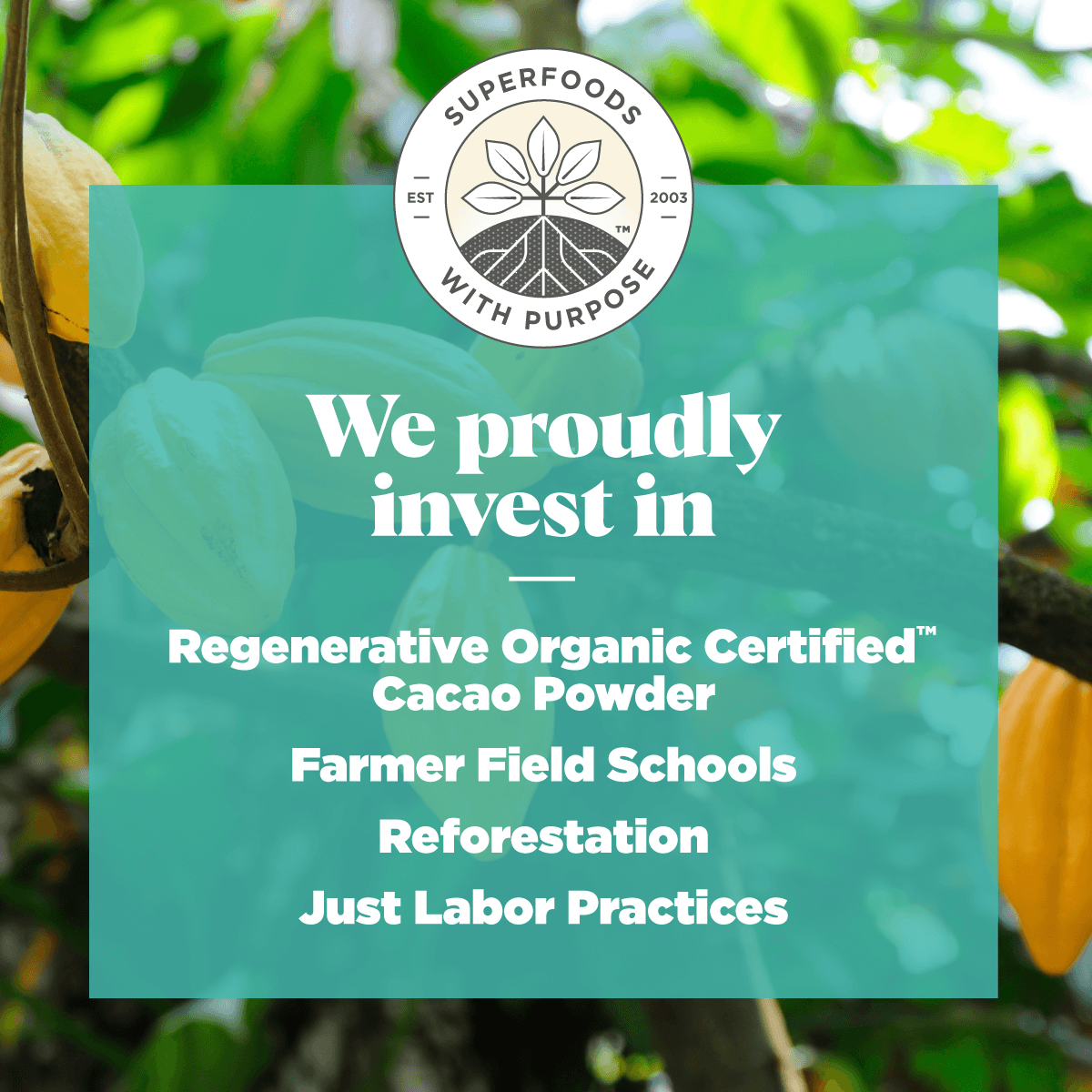We proudly invest in Regenerative Organic Certified Farmer Field Schools, Reforestation, Just Labor Practices.