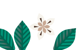Flower illustration